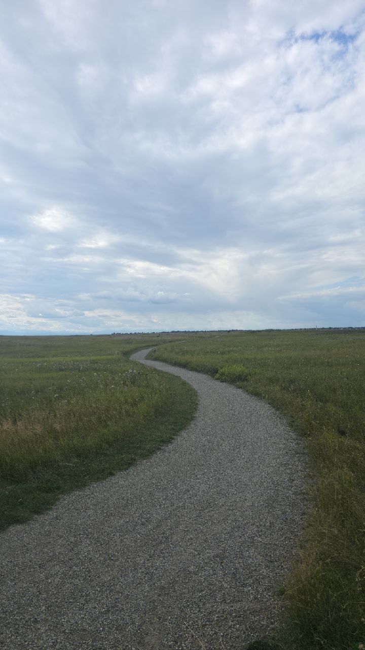 A gravel path curving away across flat prairie grassland toward a distant treeline under a wide grey-and-white sky, no people in sight.
