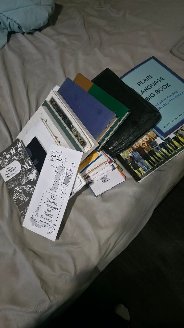 A spread of AA literature on a bed: pamphlets including The Twelve Traditions Illustrated and The Twelve Concepts for World Service, meeting lists, a Plain Language Big Book, a group photo, notebooks, and a zippered black leather book case.