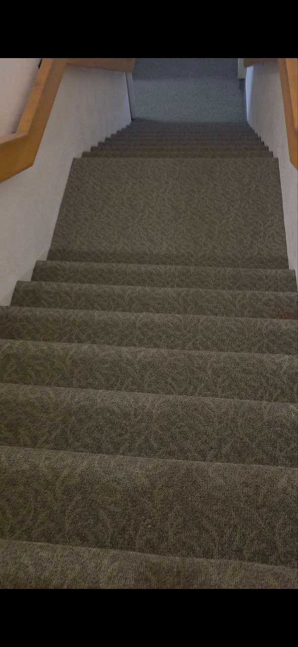 A carpeted staircase descending into a church basement: worn patterned carpet, wooden handrails on both walls, fluorescent light spilling from the landing below.